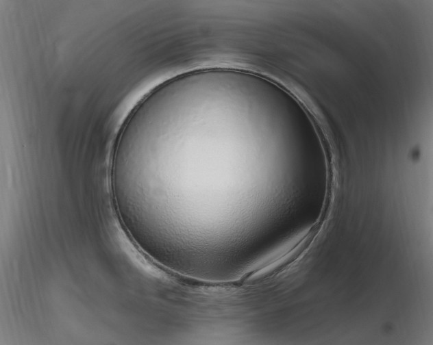 X0000116841246200912181450