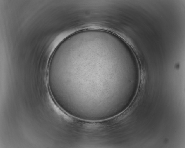X0000116841247200912181450