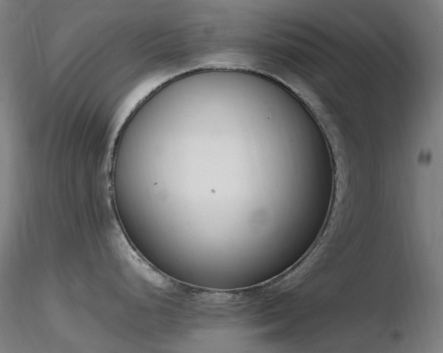 X0000116841248200912181450