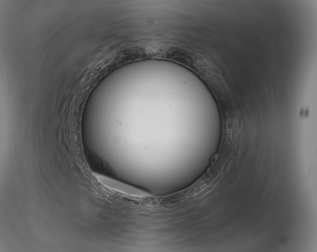 X0000116841249200912181449