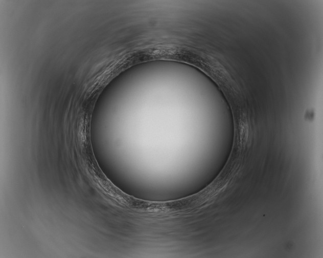 X0000116841250200912181449