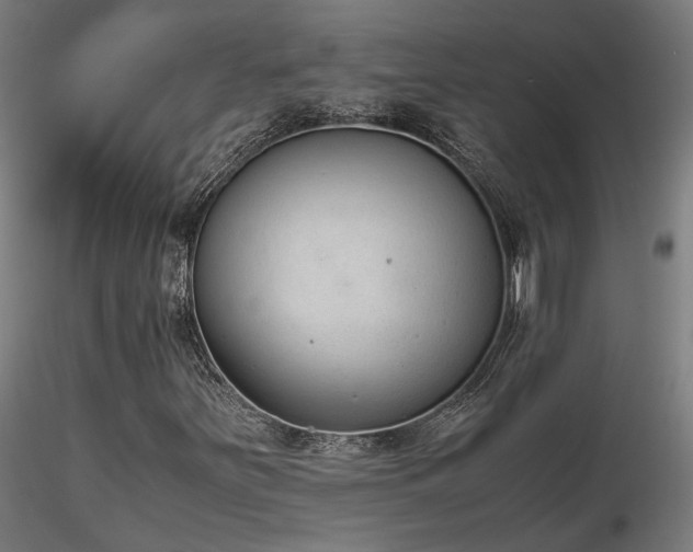 X0000116841251200912181449