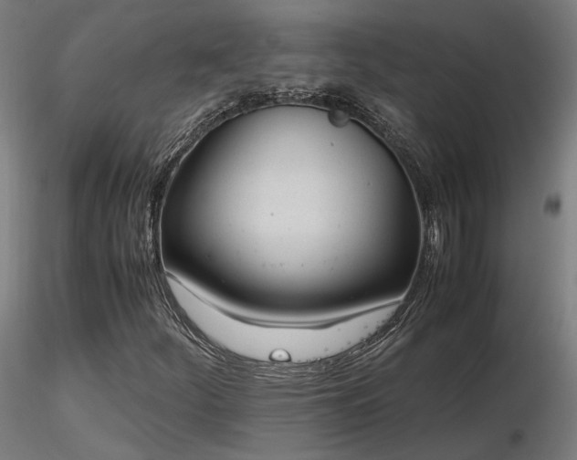 X0000116841252200912181449