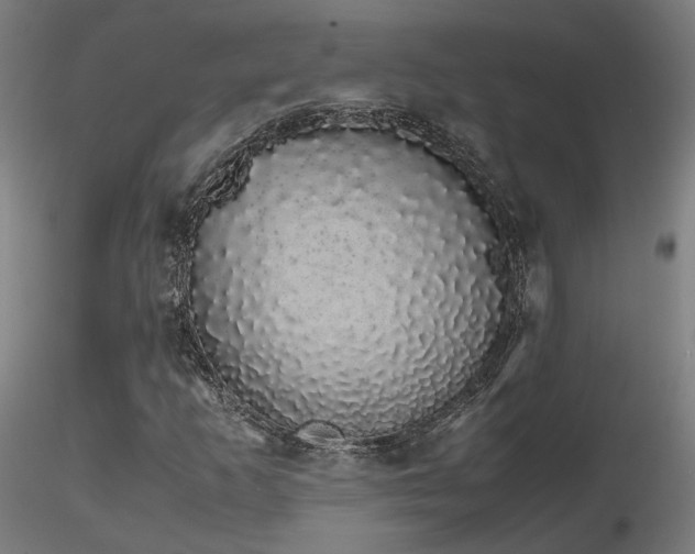 X0000116841253200912181449