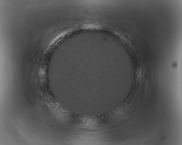 X0000116841254200912181449