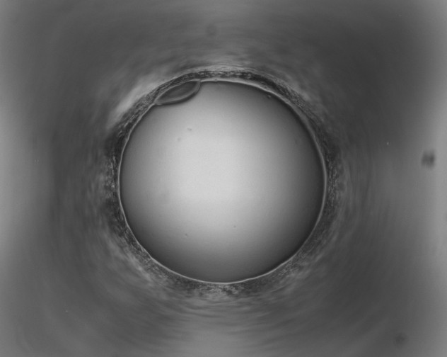 X0000116841255200912181449