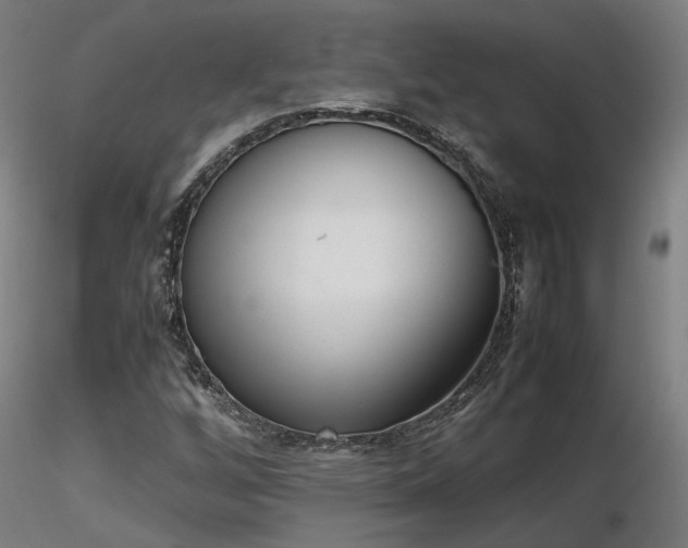 X0000116841256200912181449
