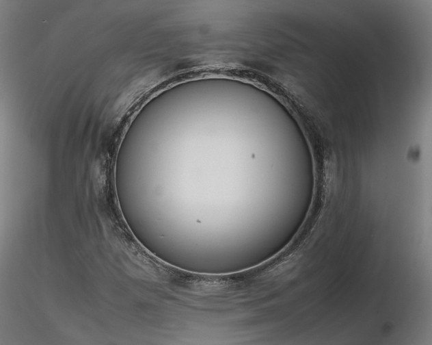 X0000116841257200912181449
