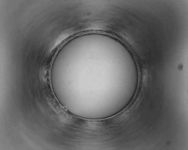 X0000116841258200912181449