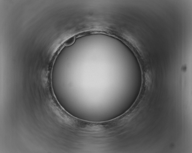 X0000116841260200912181449