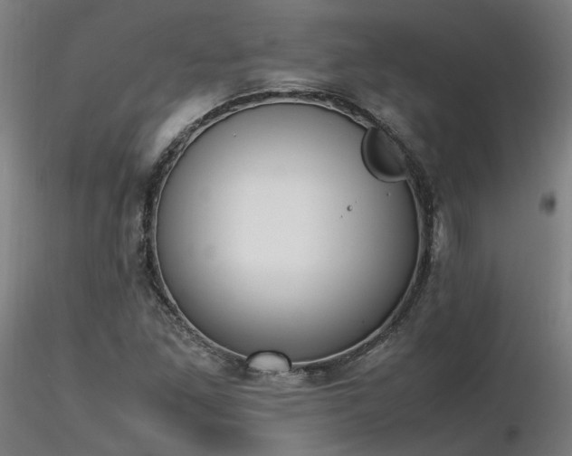 X0000116841261200912181449