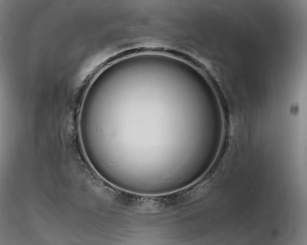 X0000116841263200912181449