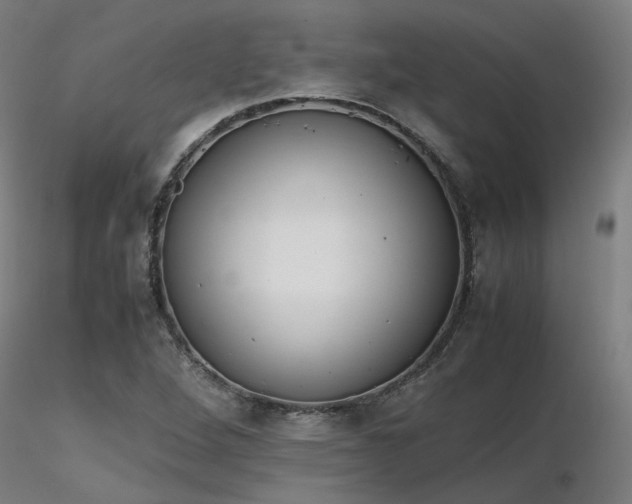 X0000116841264200912181449