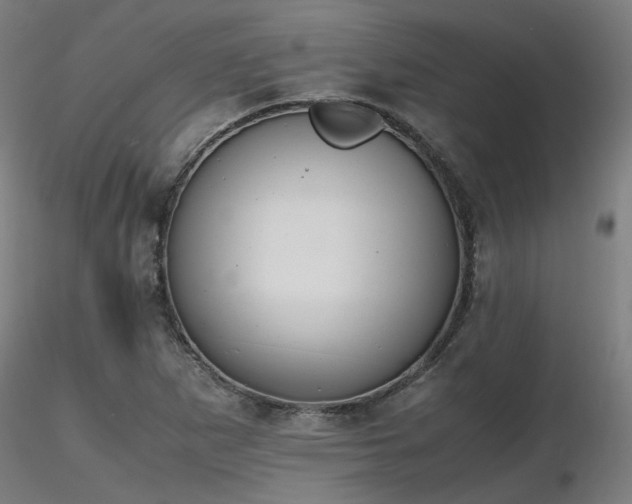X0000116841265200912181449