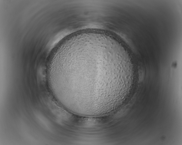 X0000116841266200912181449