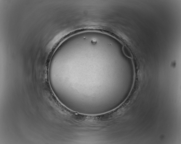 X0000116841267200912181449
