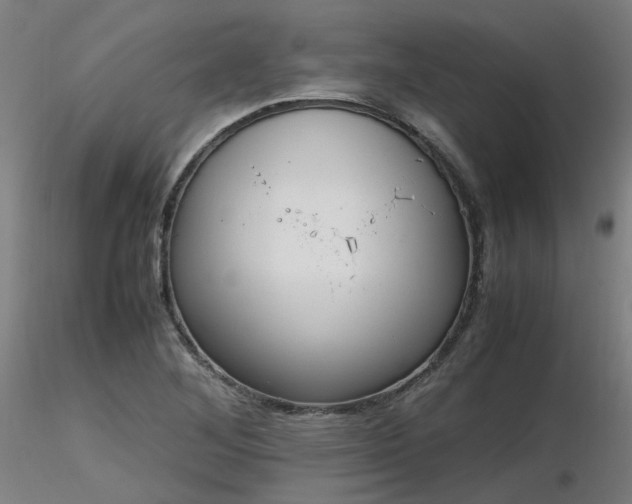 X0000116841268200912181449