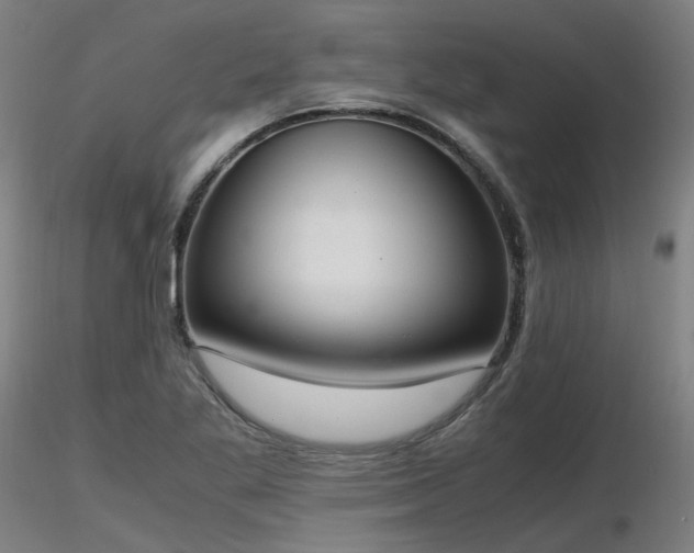 X0000116841269200912181449