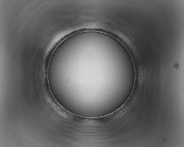 X0000116841270200912181449