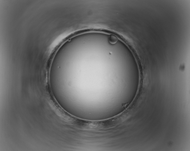 X0000116841271200912181449