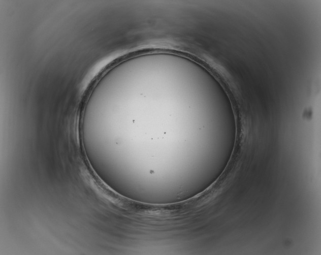 X0000116841272200912181449