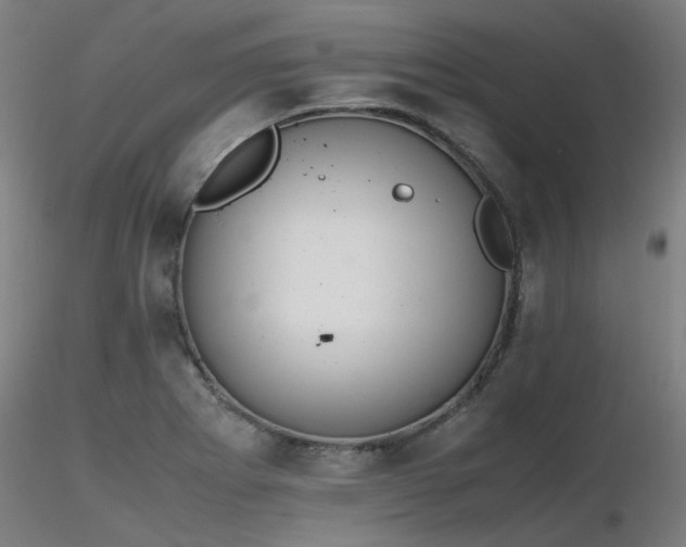 X0000116841273200912181449