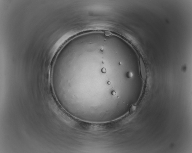 X0000116841275200912181449