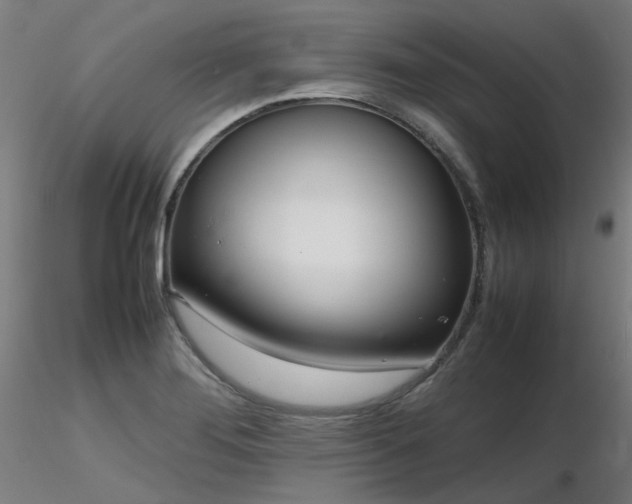 X0000116841276200912181449