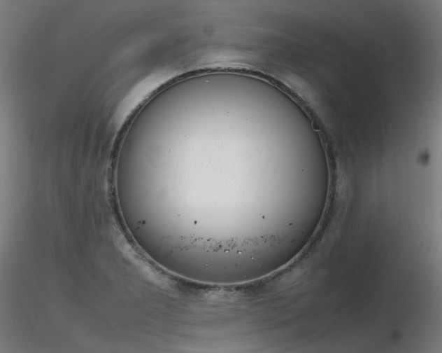 X0000116841277200912181449
