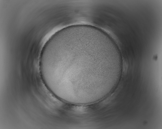 X0000116841278200912181449