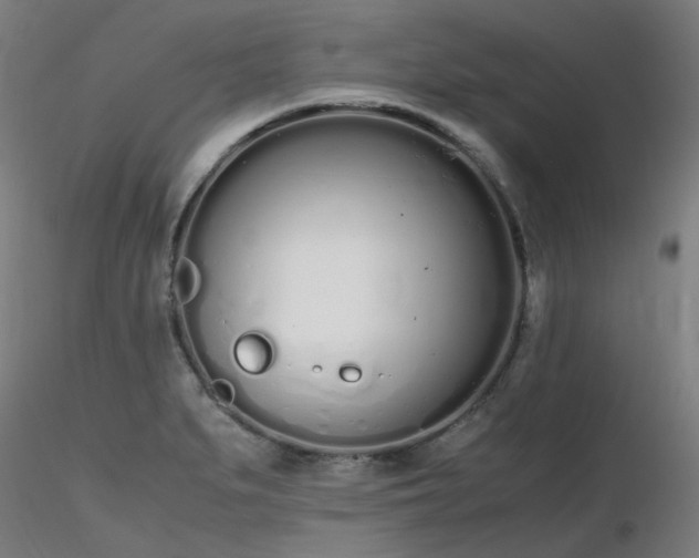 X0000116841279200912181449