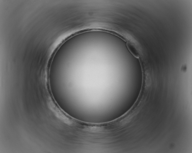 X0000116841280200912181449