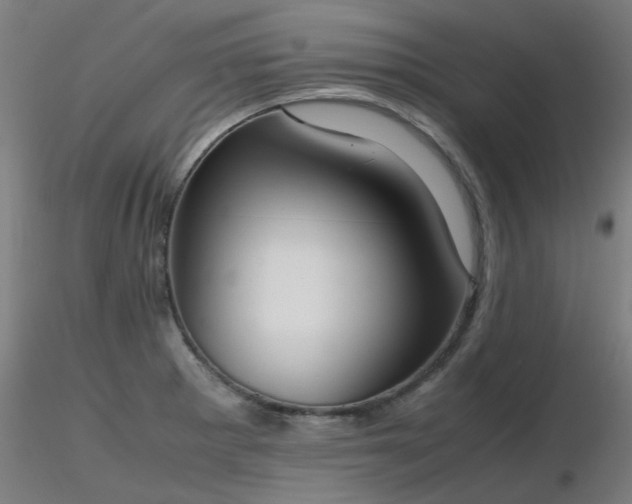 X0000116841281200912181449