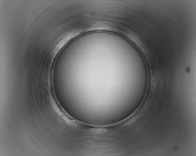 X0000116841282200912181449