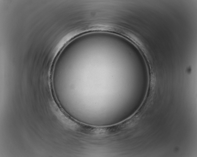 X0000116841283200912181449