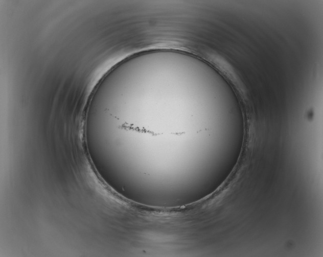 X0000116841284200912181449