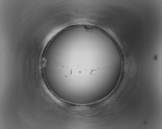 X0000116841285200912181449