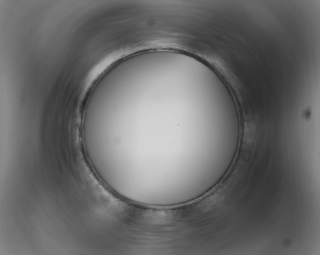X0000116841286200912181449
