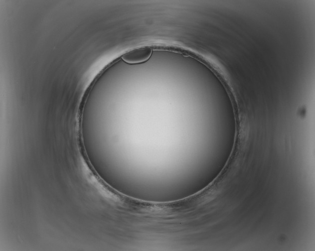 X0000116841287200912181449