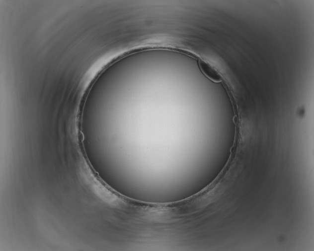 X0000116841288200912181449