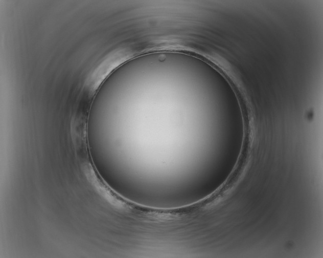 X0000116841289200912181449