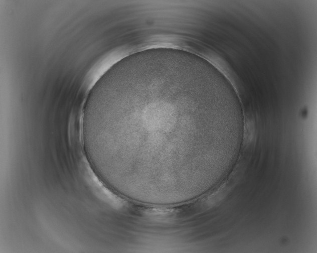 X0000116841290200912181449