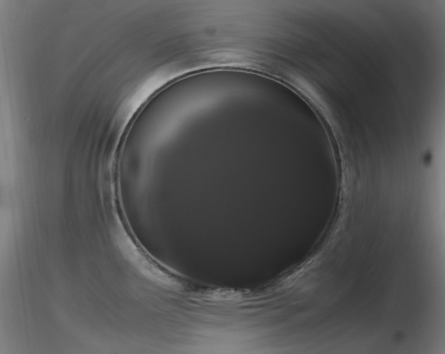 X0000116841291200912181449