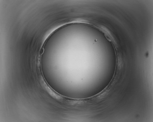 X0000116841292200912181449