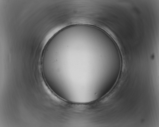 X0000116841293200912181449