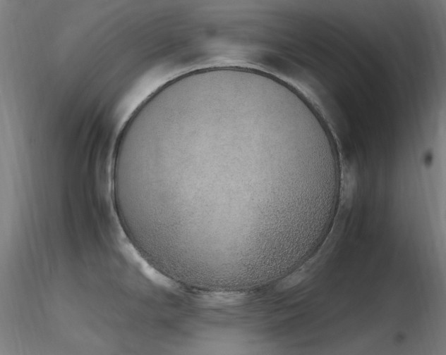 X0000116841294200912181449