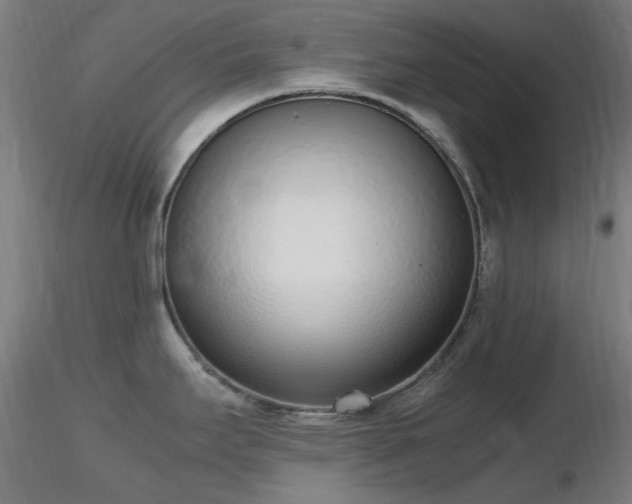 X0000116841295200912181449