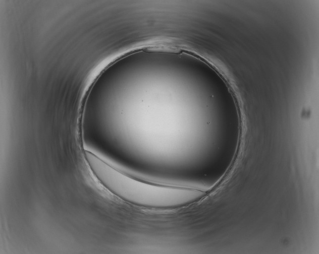 X0000116841296200912181449
