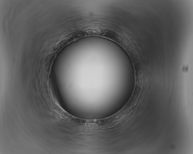 X0000116841297200912181448