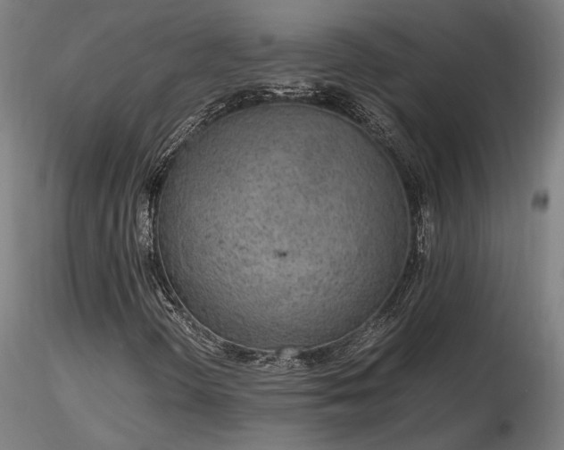 X0000116841298200912181448